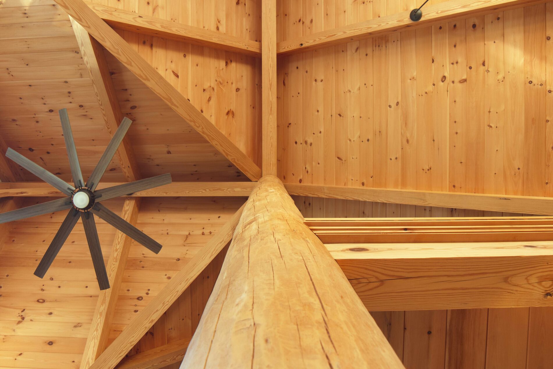 Timber Frame Wood Species