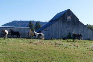 Woodhouse Timber Frame Homes in Cle Elum, Washington