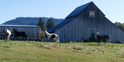 Woodhouse Timber Frame Homes in Cle Elum, Washington